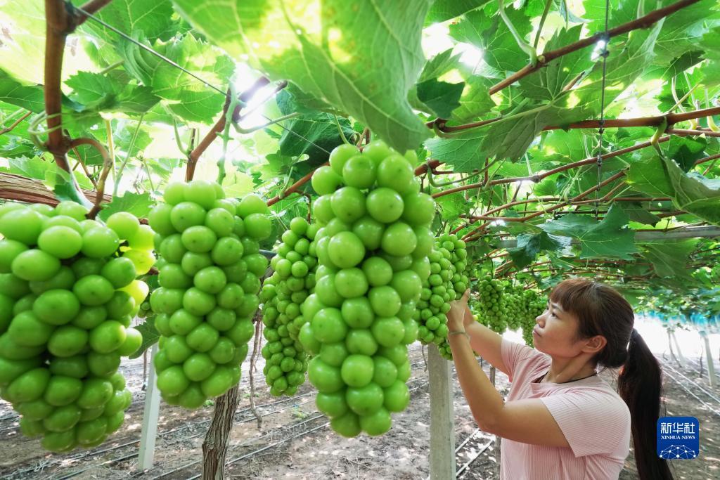 娱乐电子游戏